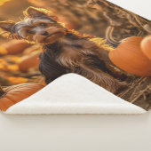 Autumn Yorkie Pup Sherpadecke (3/4)