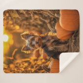 Autumn Yorkie Pup Sherpadecke (Vorderseite (Horizontal))