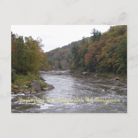 Autumn Yough Postcard Postkarte (Vorderseite)