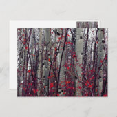 Autumnal Aspens Postkarte (Vorne/Hinten)
