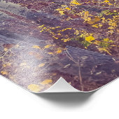 Autumnal Forest Fotodruck (Ecke)