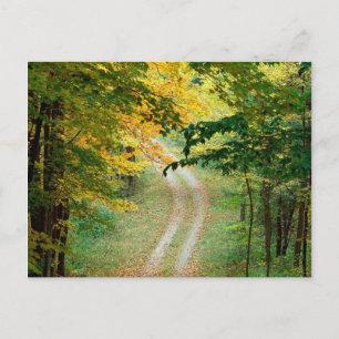 Autumnal Forest Trail East texas Postkarte