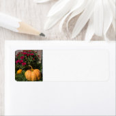 Autumnal Kürbis und Mehl (Insitu)