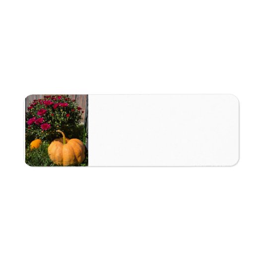 Autumnal Kürbis und Mehl (Vorne)