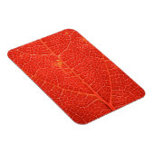 Autumnal Leaf Magnet (Rechte Seite)