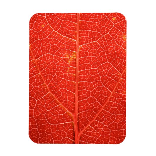 Autumnal Leaf Magnet (Vertikal)