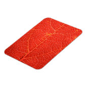 Autumnal Leaf Magnet (Linke Seite)