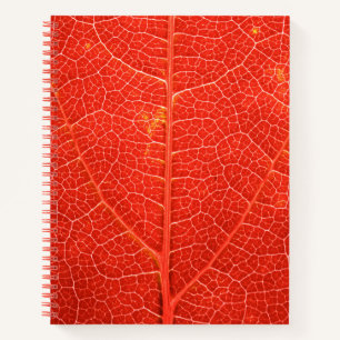 Autumnal Leaf Notizblock