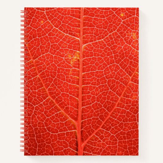 Autumnal Leaf Notizblock (Vorderseite)