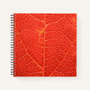 Autumnal Leaf Notizblock