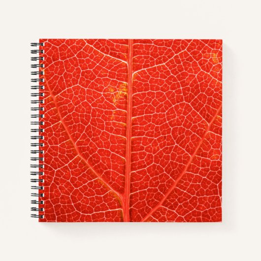 Autumnal Leaf Notizblock (Vorderseite)
