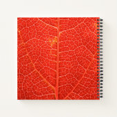 Autumnal Leaf Notizblock (Rückseite)