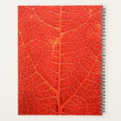 Autumnal Leaf Planer (Rückseite)