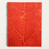 Autumnal Leaf Planer (Vorderseite)