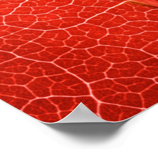 Autumnal Leaf Poster (Ecke)