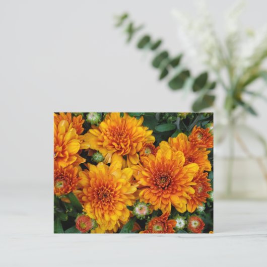 Autumnal Postkarte (Stehend Vorderseite)