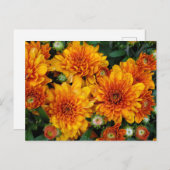 Autumnal Postkarte (Vorne/Hinten)