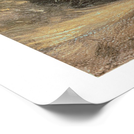 Autumnal Sunset Poster (Ecke)