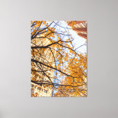 Autumnal Tree in der Stadt Leinwanddruck (Vorderseite)