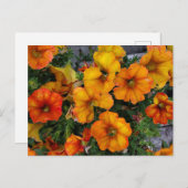 Autumnaler Garten Postkarte (Vorne/Hinten)