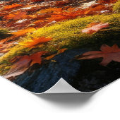 Autumn's Gentle Symphony Poster (Ecke)
