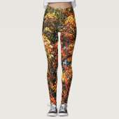 AUTUMNS GLORY LEGGINGS (Vorderseite)