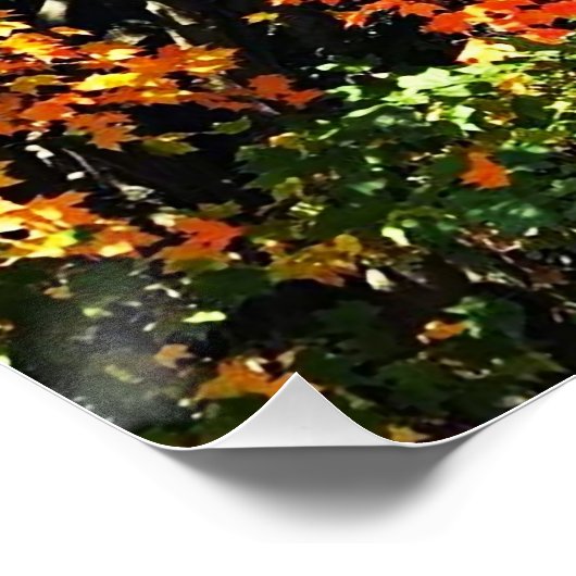 AUTUMNS GLORY-Plakat Poster (Ecke)