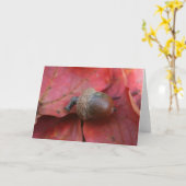 AUTUMNS PROMISS KARTE (Gelbe Blume)