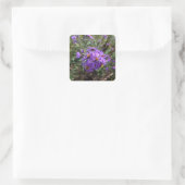 Autumn's Purple Glow Quadratischer Aufkleber (Tasche)