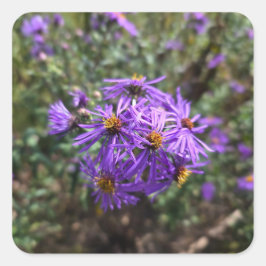 Autumn's Purple Glow Quadratischer Aufkleber