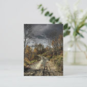 Autumns Road Postkarte (Stehend Vorderseite)