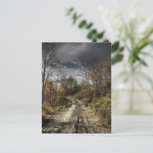 Autumns Road Postkarte (Stehend Vorderseite)