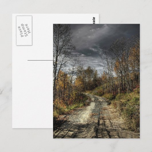 Autumns Road Postkarte (Vorne/Hinten)