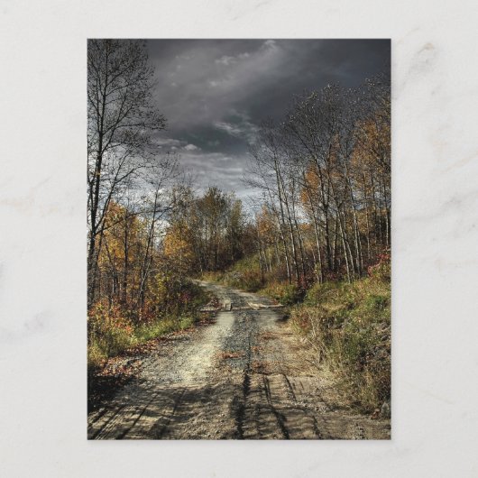 Autumns Road Postkarte (Vorderseite)