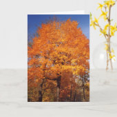 autumntree1Karte Karte (Gelbe Blume)