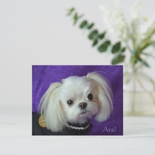 Ava Mitteilungskarten (Stehend Vorderseite)