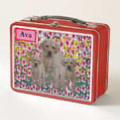 Ava-Name mit Labrador-Welpen, Metal-Lunch-Box Metall Brotdose (Vorderseite)
