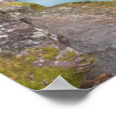 Avalanche Creek, Glacier National Park, Montana Poster (Ecke)