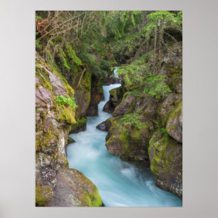 Avalanche Creek, Glacier-Nationalpark, Montana Poster