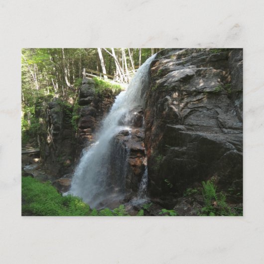 Avalanche Falls Postkarte (Vorderseite)