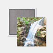 Avalanche Falls Wasserfall New Hampshire Magnet (Vorderseite/Rückseite)