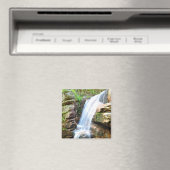 Avalanche Falls Wasserfall New Hampshire Magnet (In Situ (Geschirrspüler))