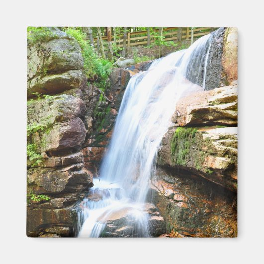 Avalanche Falls Wasserfall New Hampshire Magnet (Vorne)