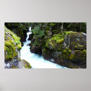 Avalanche Gorge I im Glacier-Nationalpark Poster