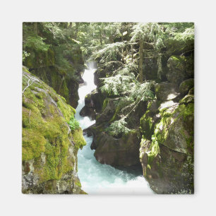 Avalanche Gorge II im Glacier-Nationalpark Magnet
