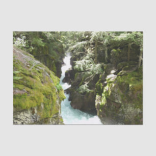 Avalanche Gorge II im Glacier-Nationalpark Seidenpapier