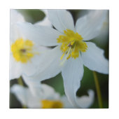 Avalanche Lilies im Paradise Park Fliese (Vorderseite)