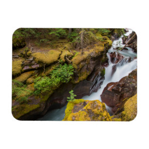 Avalanche-Schlucht im Glacier-Nationalpark Magnet