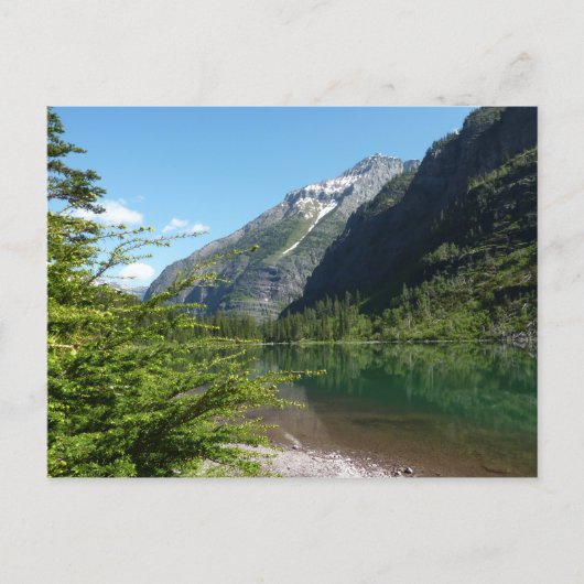 Avalanche See II - Glacier Nationalpark Postkarte (Vorderseite)