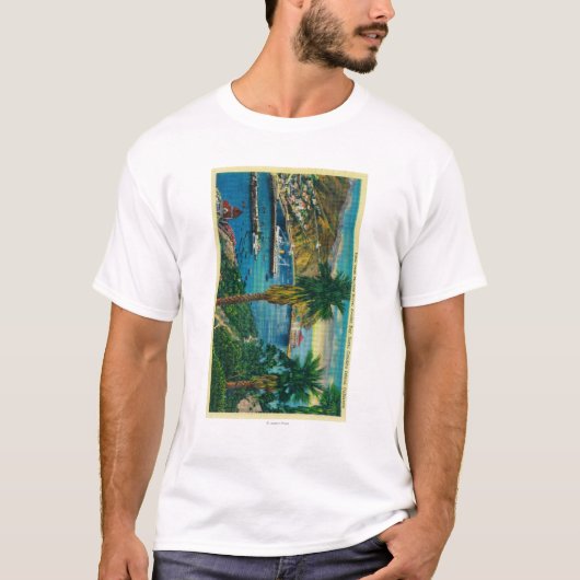 Avalon Bucht, Insel Sankt Catalina von den T-Shirt (Vorderseite)